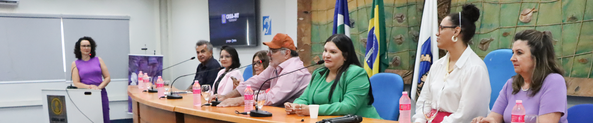 Dia Internacional das Mulheres: Crea-MT recebe palestra: “ Tipos de Violência Contra Mulher”